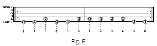 Fig C